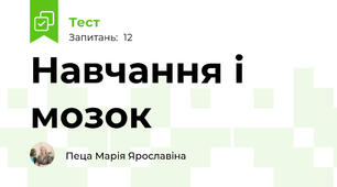 Навчання і мозок
