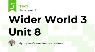 Wider World 3 Unit 8