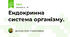 Ендокринна система організму.