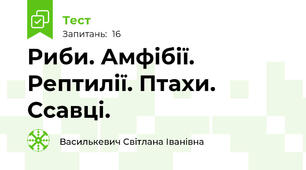Риби. Амфібії. Рептилії. Птахи. Ссавці.