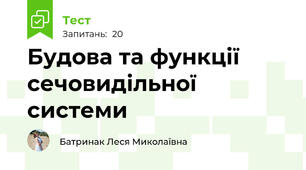 Будова та функції сечовидільної системи