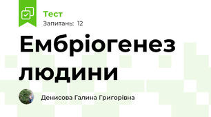  Ембріогенез людини