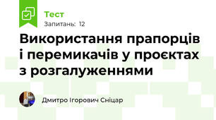 Використання прапорців і перемикачів у проєктах з розгалуженнями