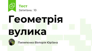 Геометрія вулика