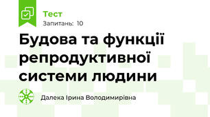 Будова та функції репродуктивної системи людини