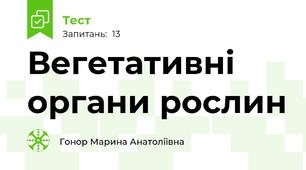 Вегетативні органи рослин