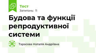 Будова та функції репродуктивної системи