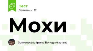 Мохи