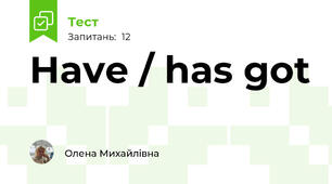 Have / has got 