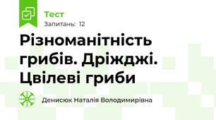 Різноманітність грибів. Дріжджі. Цвілеві гриби