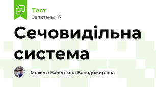 Сечовидільна система
