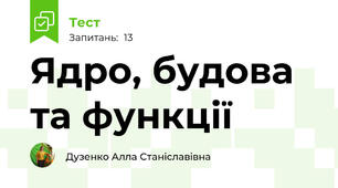 Ядро, будова та функції