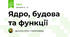 Ядро, будова та функції