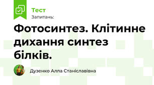 Фотосинтез. Клітинне дихання. Синтез білків.
