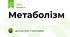 Метаболізм
