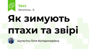 Як зимують птахи та звірі