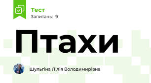 Птахи 