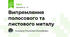 Випрямляння полосового та листового металу