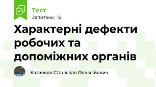   Хаpактеpнi дефекти pобочих та допомiжних оpганiв