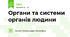 Органи та системи органів людини