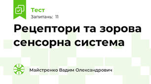 Рецептори та зорова сенсорна система