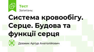 Система кровообігу. Серце. Будова та функції серця