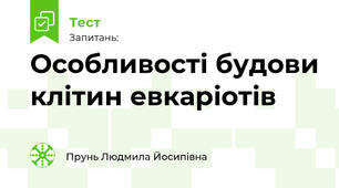 Особливості будови клітин евкаріотів