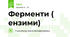 Ферменти ( ензими)