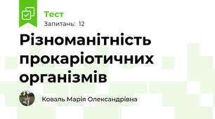 Різноманітність прокаріотичних організмів
