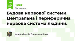 Будова нервової системи. Центральна і периферична нервова система людини.