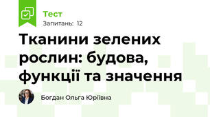 Тканини зелених рослин: будова, функції та значення