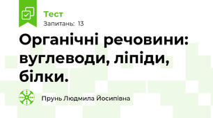 Органічні речовини: вуглеводи, ліпіди, білки.