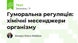 Гуморальна регуляція: хімічні месенджери організму