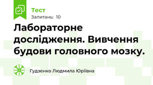  Лабораторне дослідження. Вивчення будови головного мозку.
