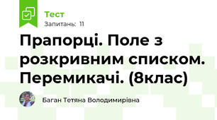 Прапорці. Поле з розкривним списком. Перемикачі. (8клас)
