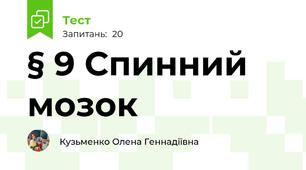 § 9 Спинний мозок