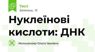 Нуклеїнові кислоти: ДНК