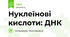 Нуклеїнові кислоти: ДНК
