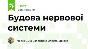 Будова нервової системи