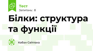 Білки: структура та функції