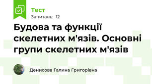Будова та функції скелетних м'язів. Основні групи скелетних м'язів 