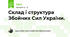 Склад і структура Збойних Сил України. 