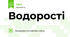 Водорості