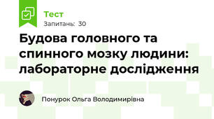 Будова головного та спинного мозку людини: лабораторне дослідження