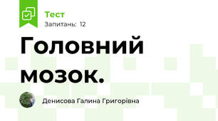 Головний мозок. 