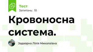 Кровоносна система.