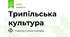 Трипільська культура