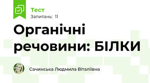 Органічні речовини: БІЛКИ