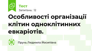 Особливості організації клітин одноклітинних евкаріотів.