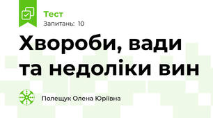 Хвороби, вади та недоліки вин
